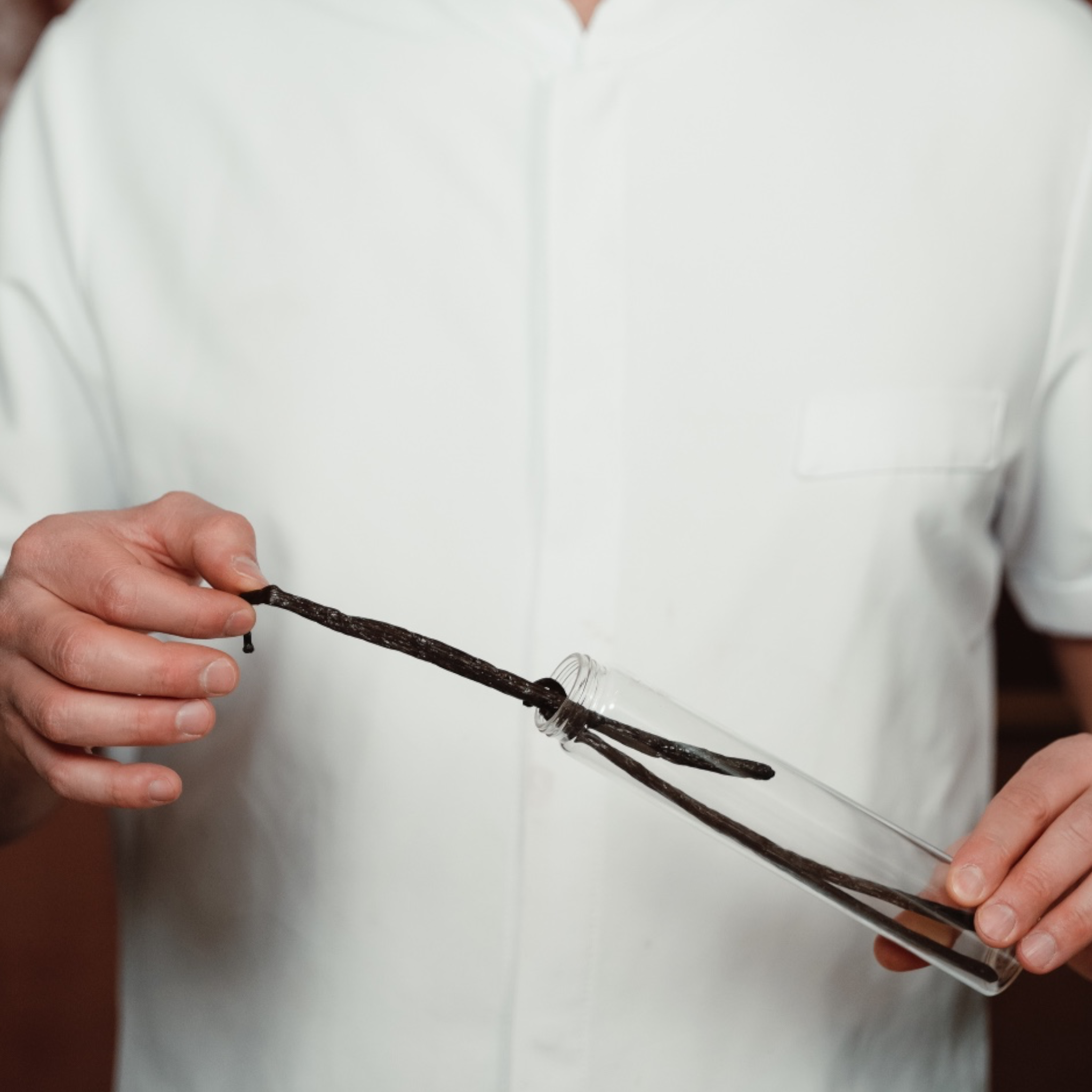 Premium Bourbon Vanilleschoten (3 Stück)